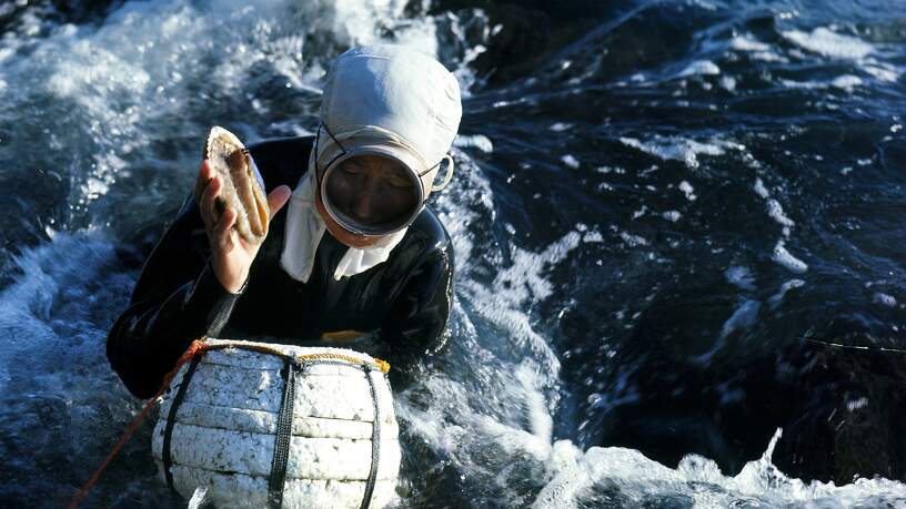 Jeju, Haenyo-duikster